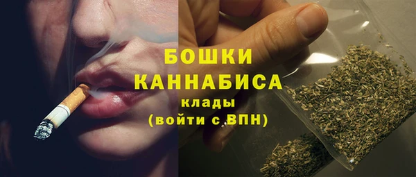 сатива Коряжма