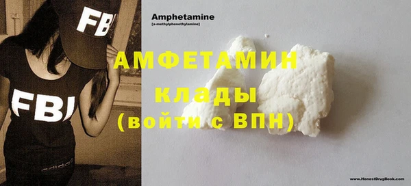 сатива Коряжма