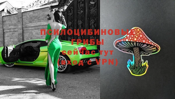 дурь Кодинск