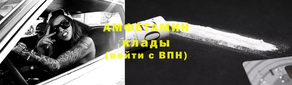сатива Коряжма