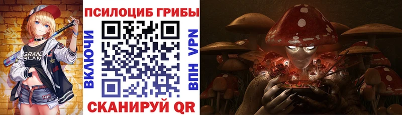 Псилоцибиновые грибы Psilocybine cubensis  Кяхта 